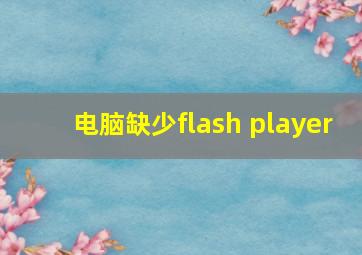 电脑缺少flash player